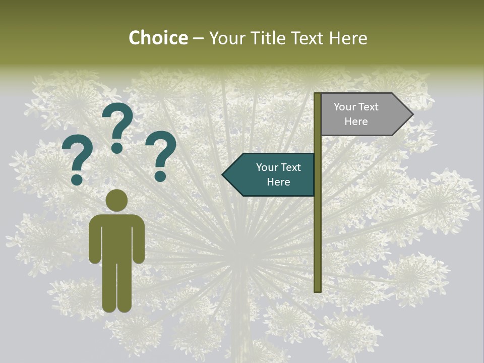 Heracleum PowerPoint Template