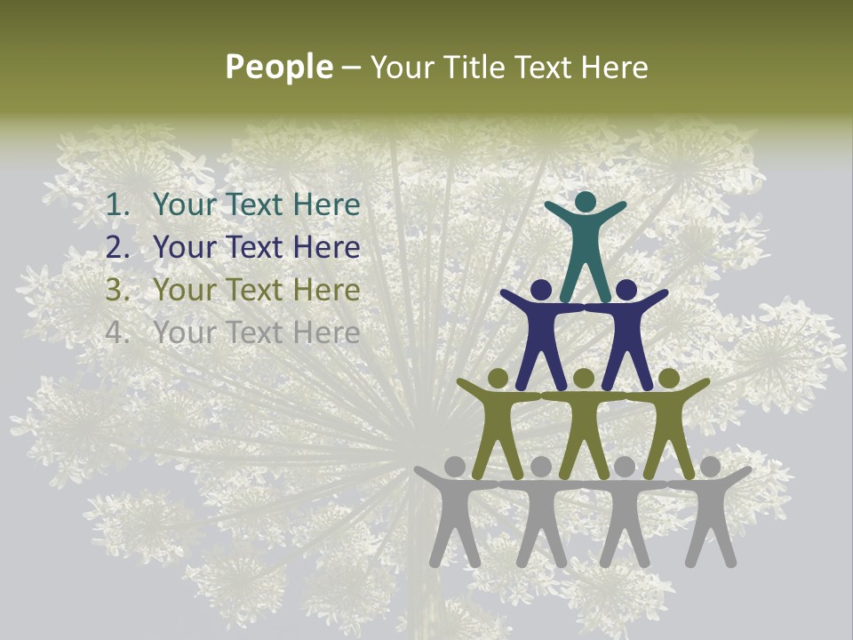 Heracleum PowerPoint Template