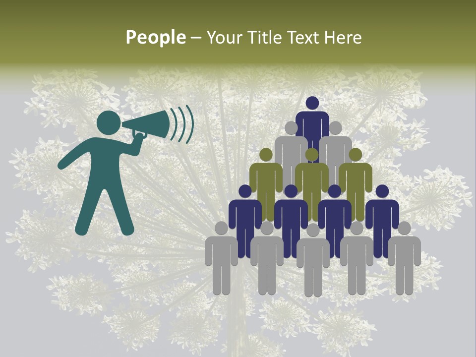 Heracleum PowerPoint Template