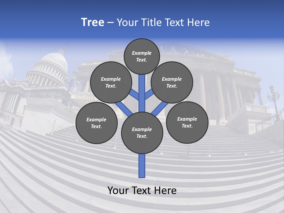 East Side View (Fisheye) Of The United States Capitol Building, Washington, Dc. PowerPoint Template
