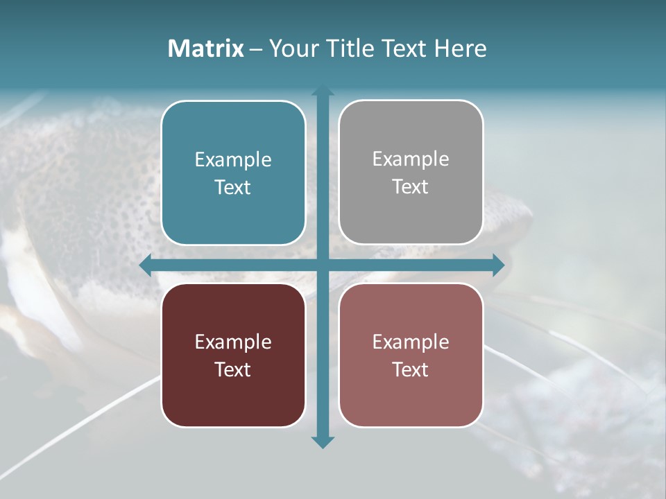 Close Up Of A Large Catfish PowerPoint Template