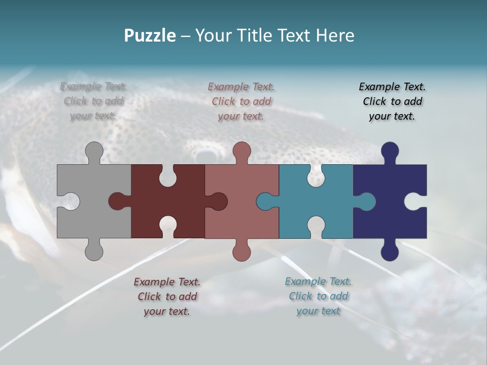 Close Up Of A Large Catfish PowerPoint Template