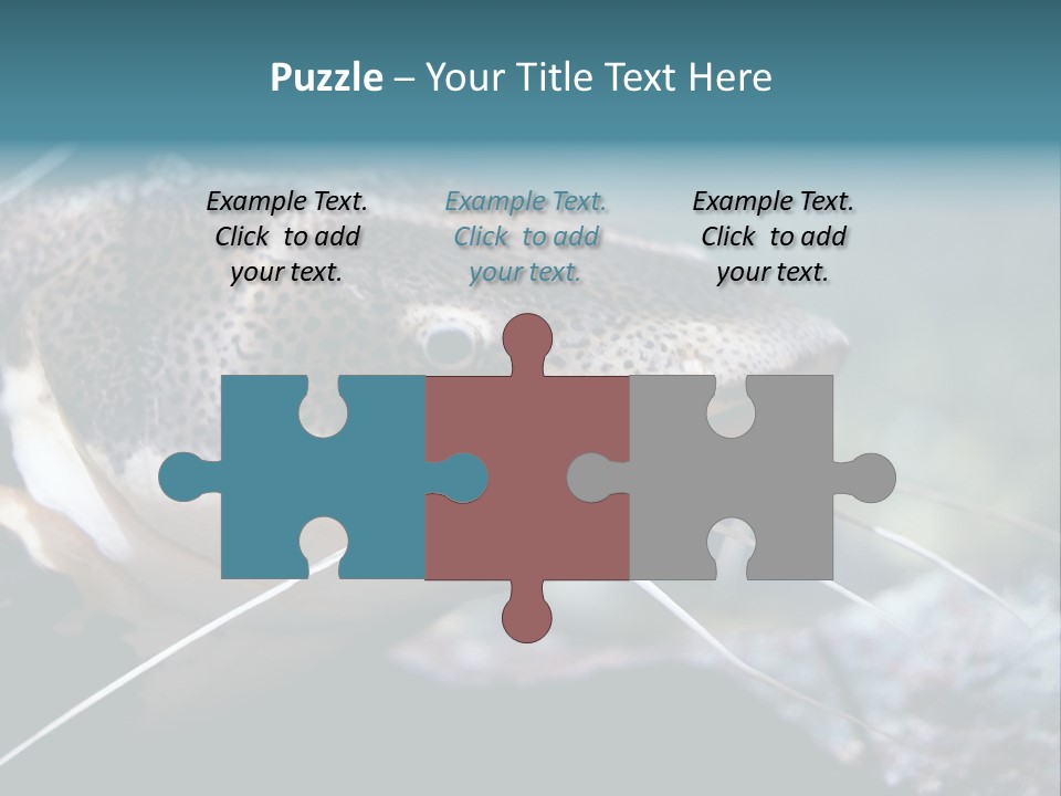 Close Up Of A Large Catfish PowerPoint Template