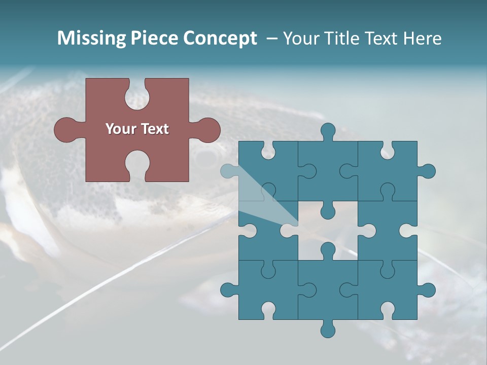 Close Up Of A Large Catfish PowerPoint Template