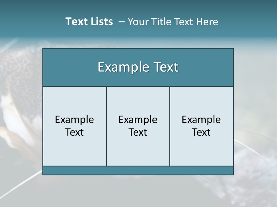 Close Up Of A Large Catfish PowerPoint Template