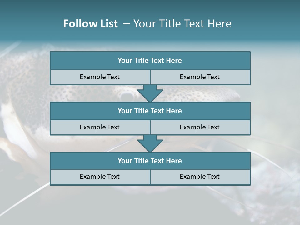 Close Up Of A Large Catfish PowerPoint Template
