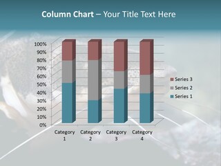 Close Up Of A Large Catfish PowerPoint Template