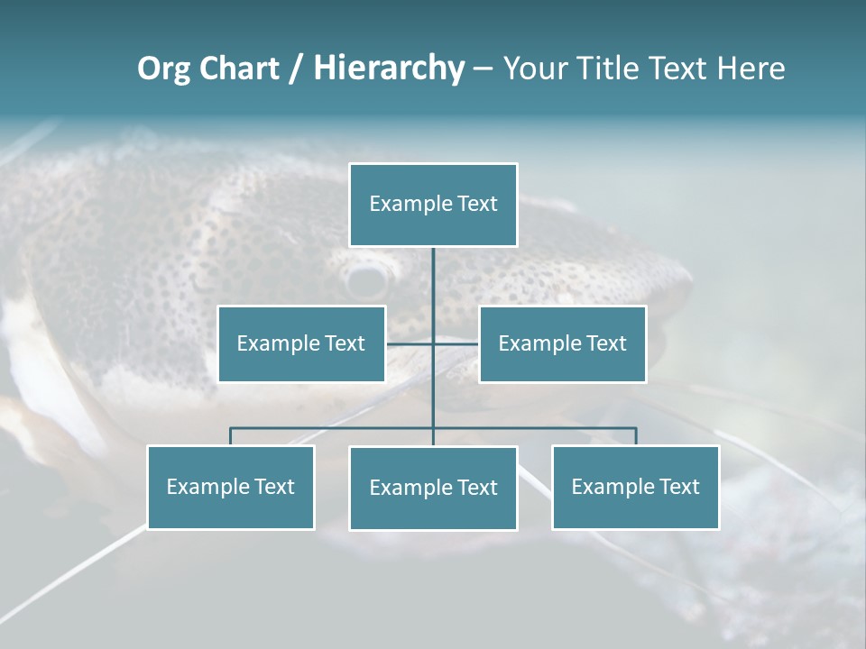 Close Up Of A Large Catfish PowerPoint Template