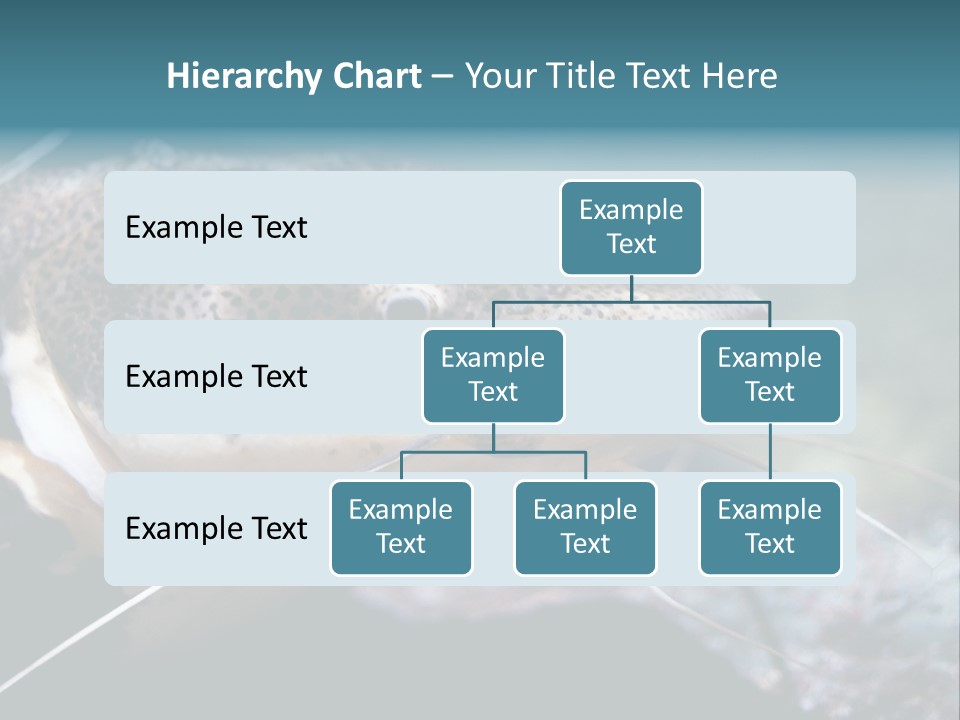 Close Up Of A Large Catfish PowerPoint Template