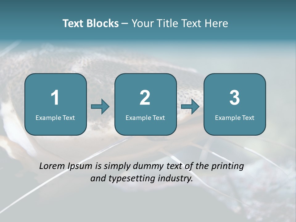 Close Up Of A Large Catfish PowerPoint Template