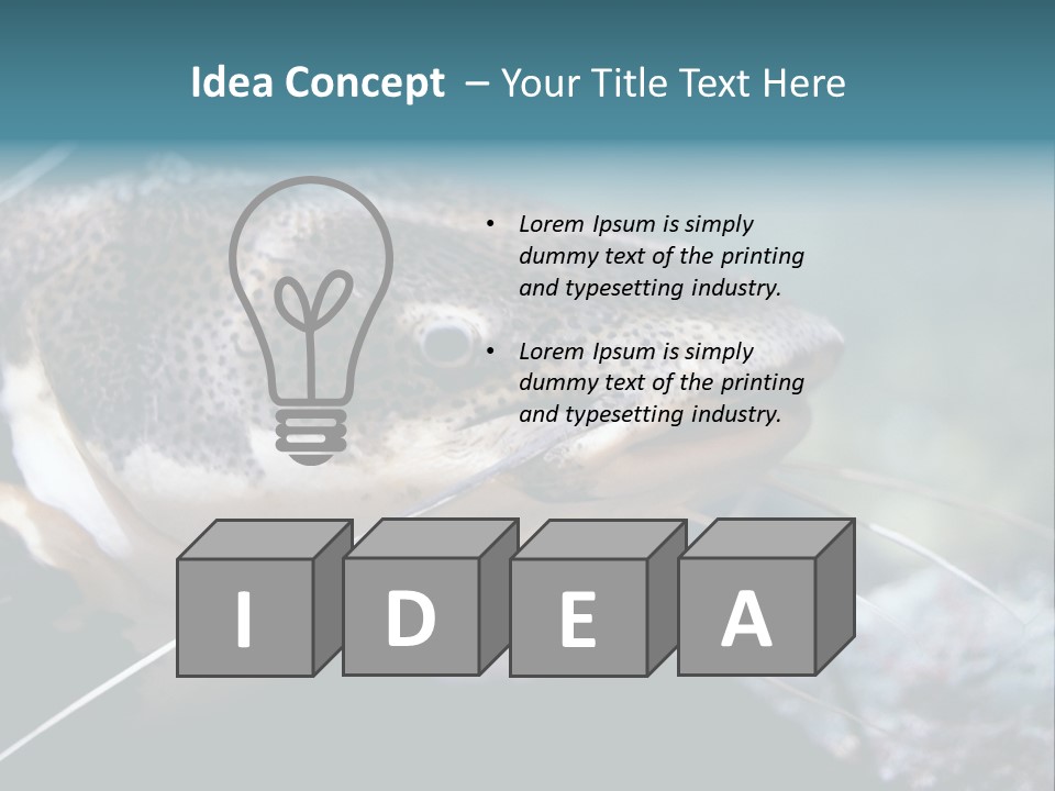 Close Up Of A Large Catfish PowerPoint Template