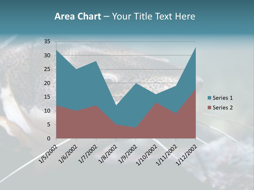 Close Up Of A Large Catfish PowerPoint Template