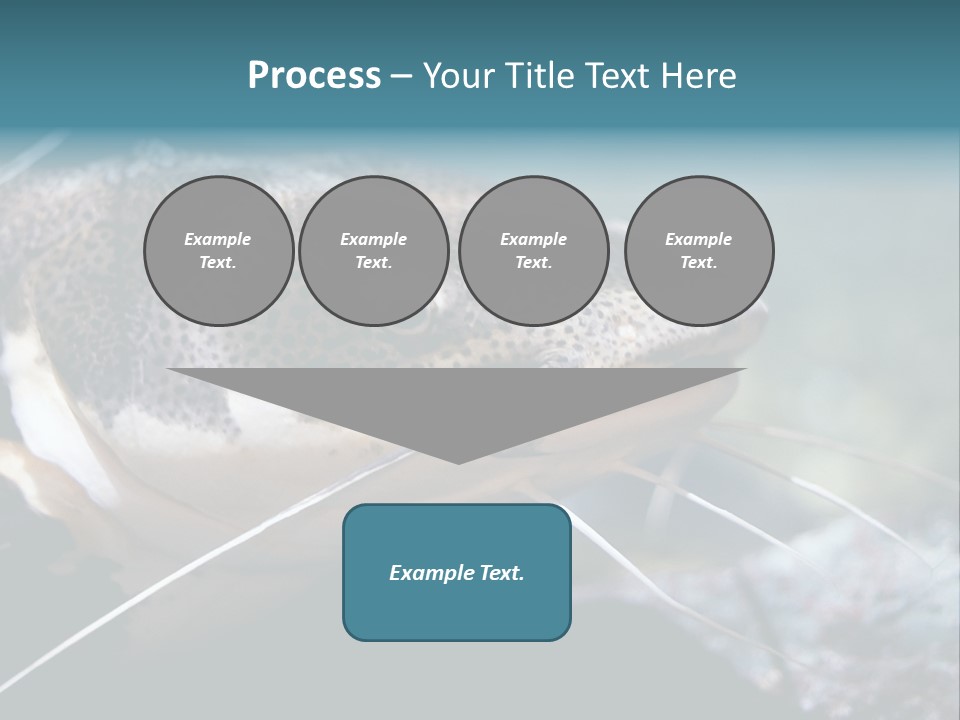 Close Up Of A Large Catfish PowerPoint Template