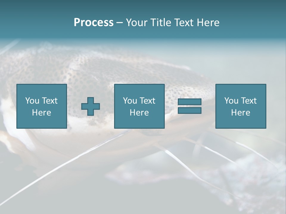 Close Up Of A Large Catfish PowerPoint Template