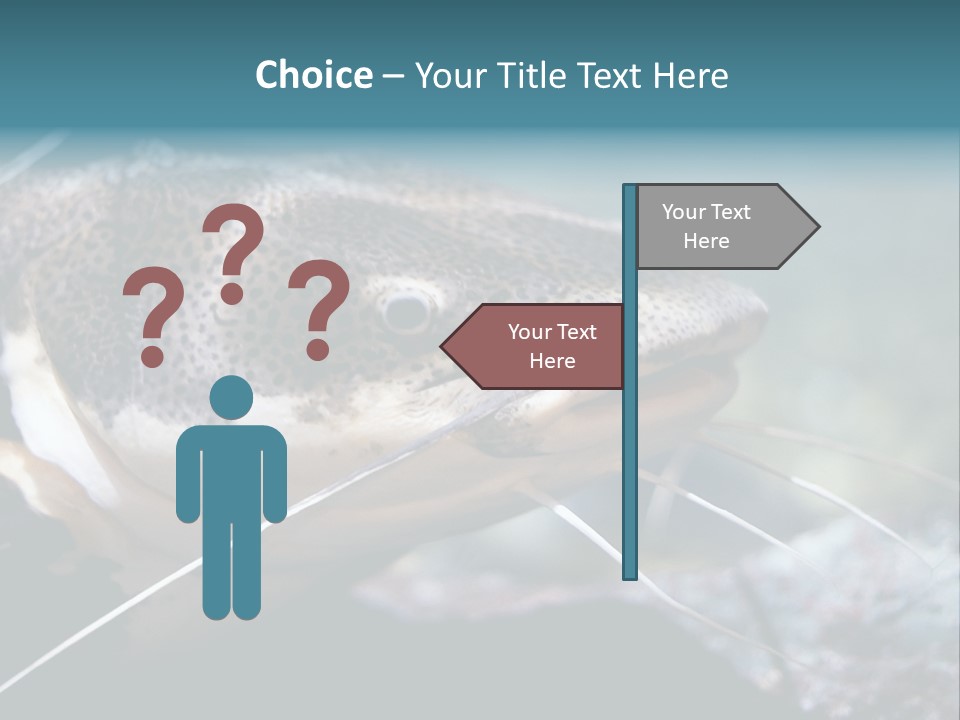 Close Up Of A Large Catfish PowerPoint Template