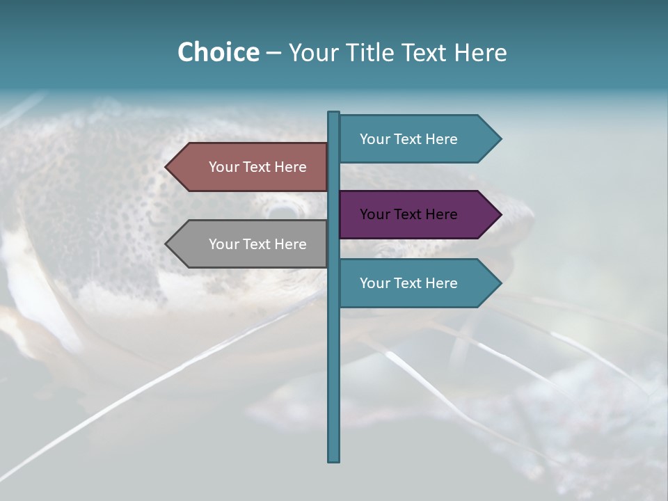 Close Up Of A Large Catfish PowerPoint Template