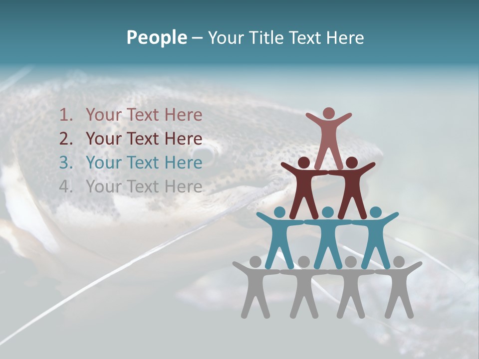 Close Up Of A Large Catfish PowerPoint Template