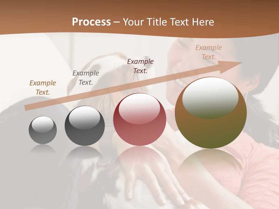 Smiling Asian Woman With Puppy On Her Lap. Square. PowerPoint Template