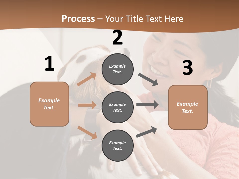 Smiling Asian Woman With Puppy On Her Lap. Square. PowerPoint Template