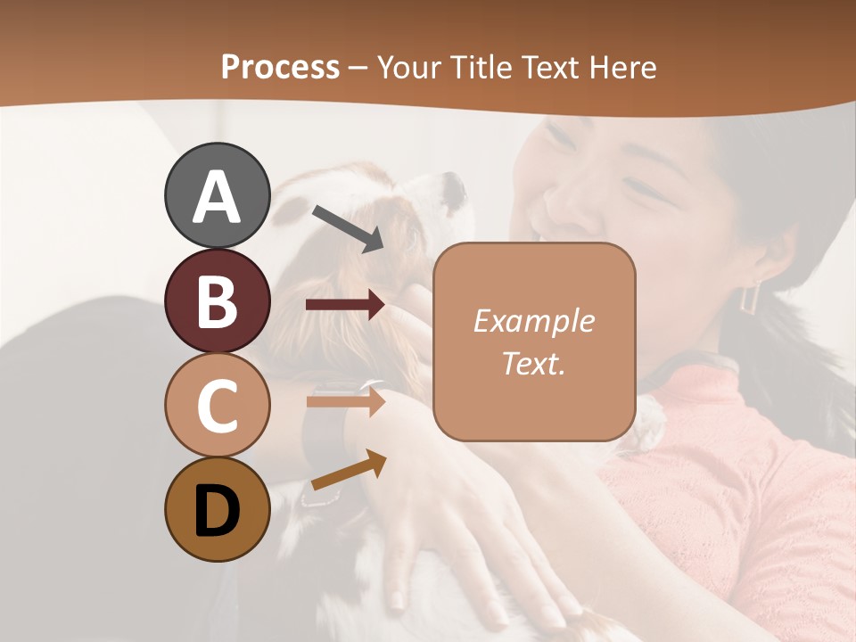 Smiling Asian Woman With Puppy On Her Lap. Square. PowerPoint Template