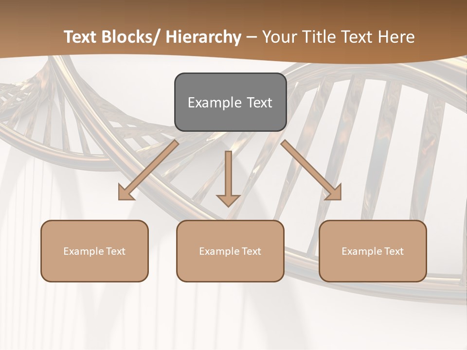 Dna Structure Model On White Surface PowerPoint Template