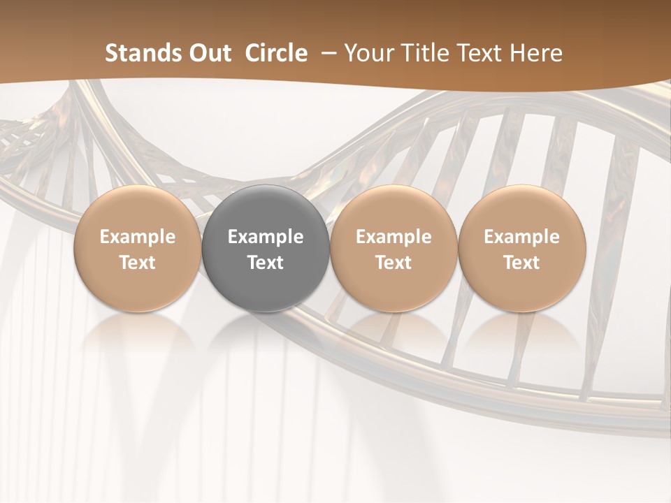 Dna Structure Model On White Surface PowerPoint Template