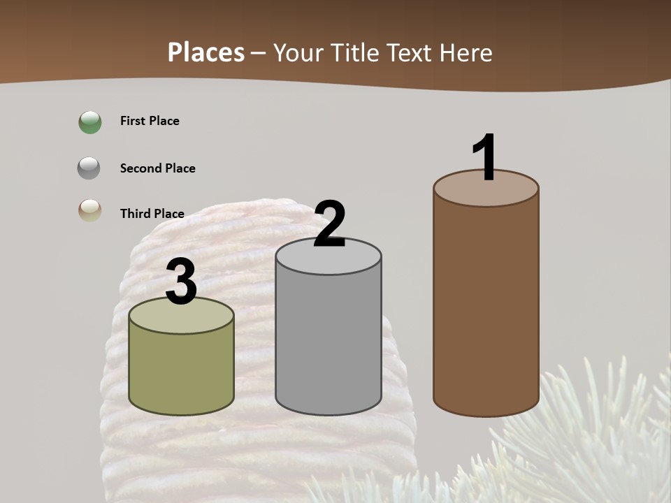 Cedar Cone PowerPoint Template