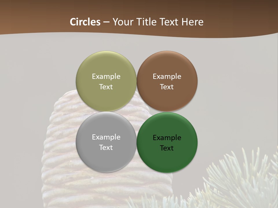 Cedar Cone PowerPoint Template