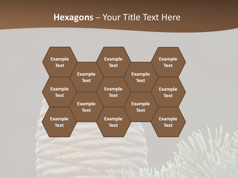 Cedar Cone PowerPoint Template