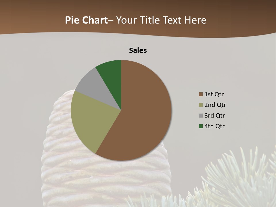 Cedar Cone PowerPoint Template