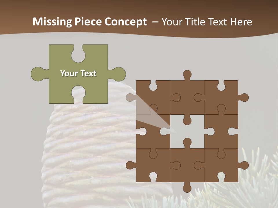 Cedar Cone PowerPoint Template