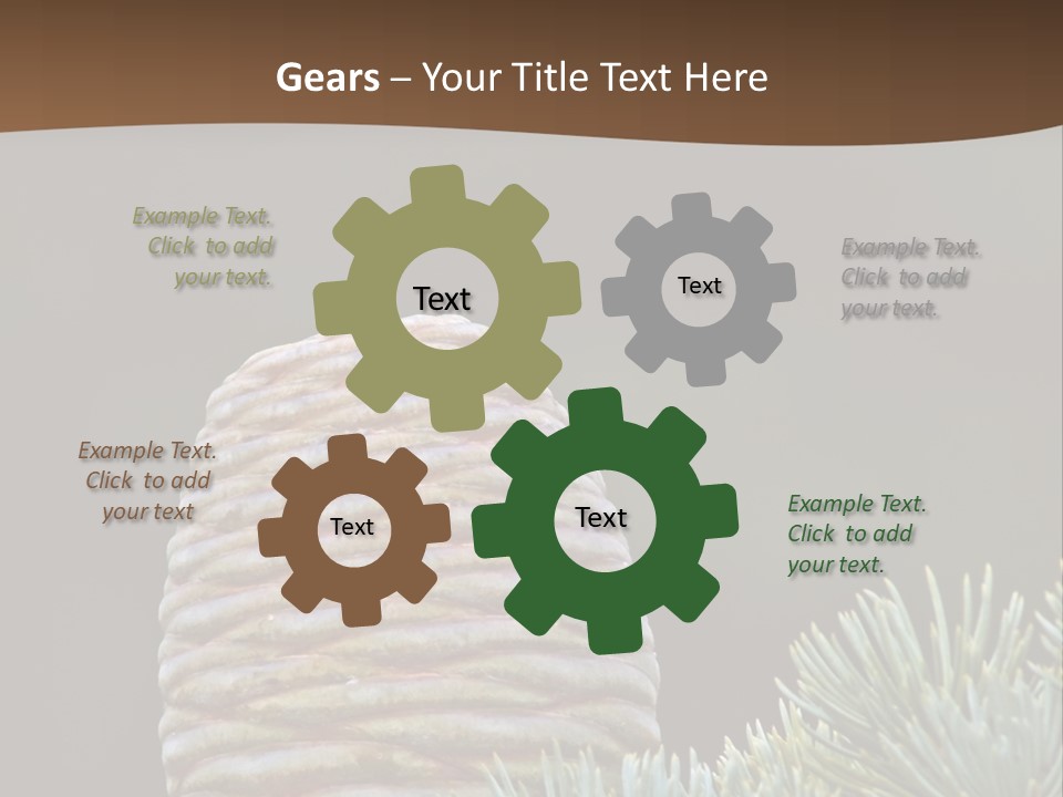 Cedar Cone PowerPoint Template