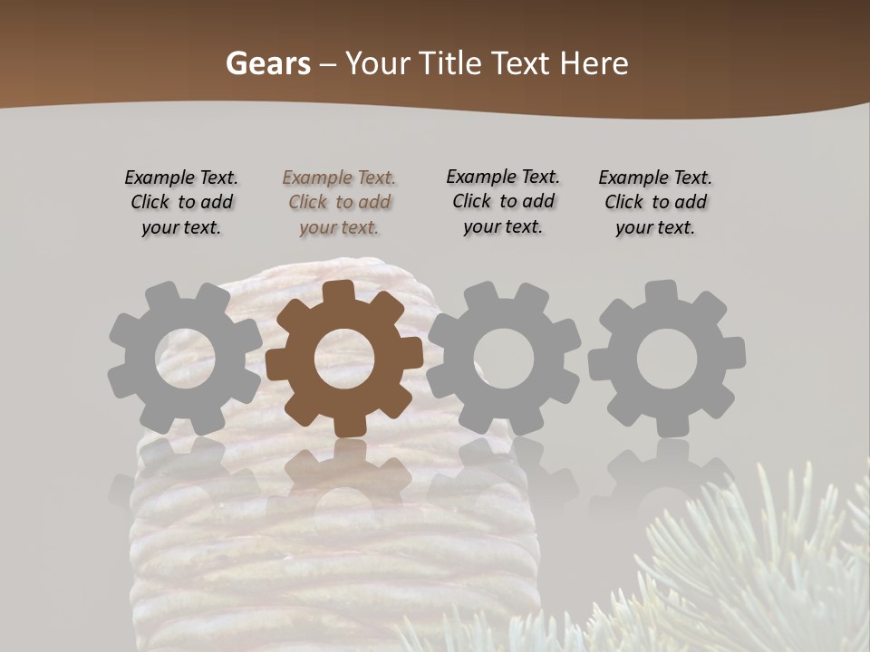 Cedar Cone PowerPoint Template