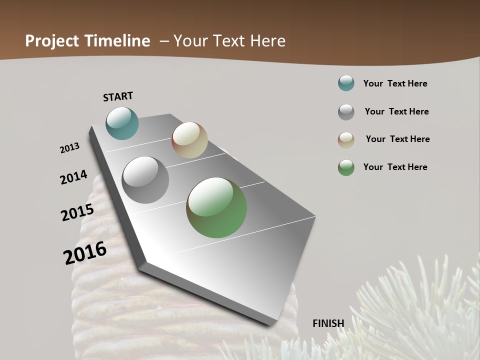 Cedar Cone PowerPoint Template