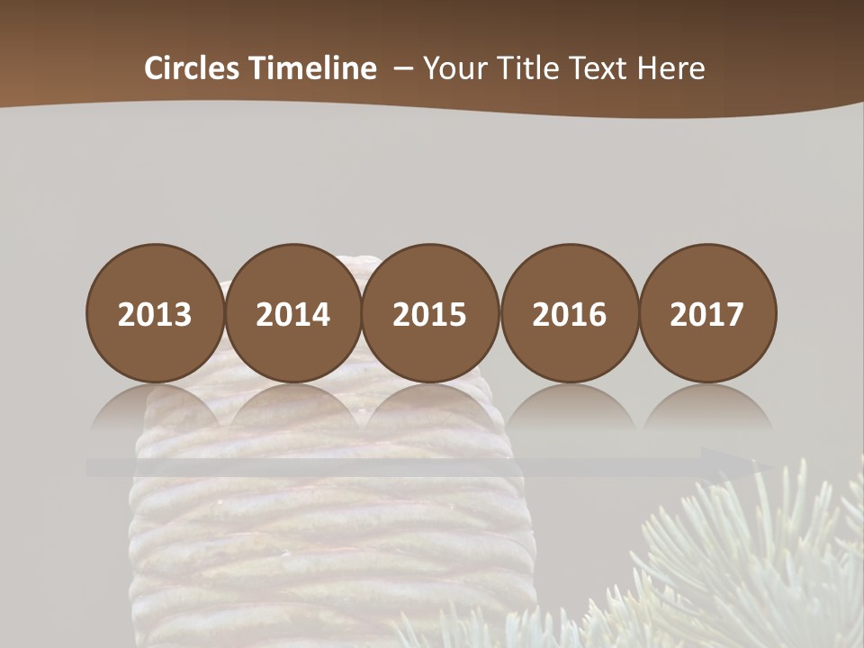 Cedar Cone PowerPoint Template