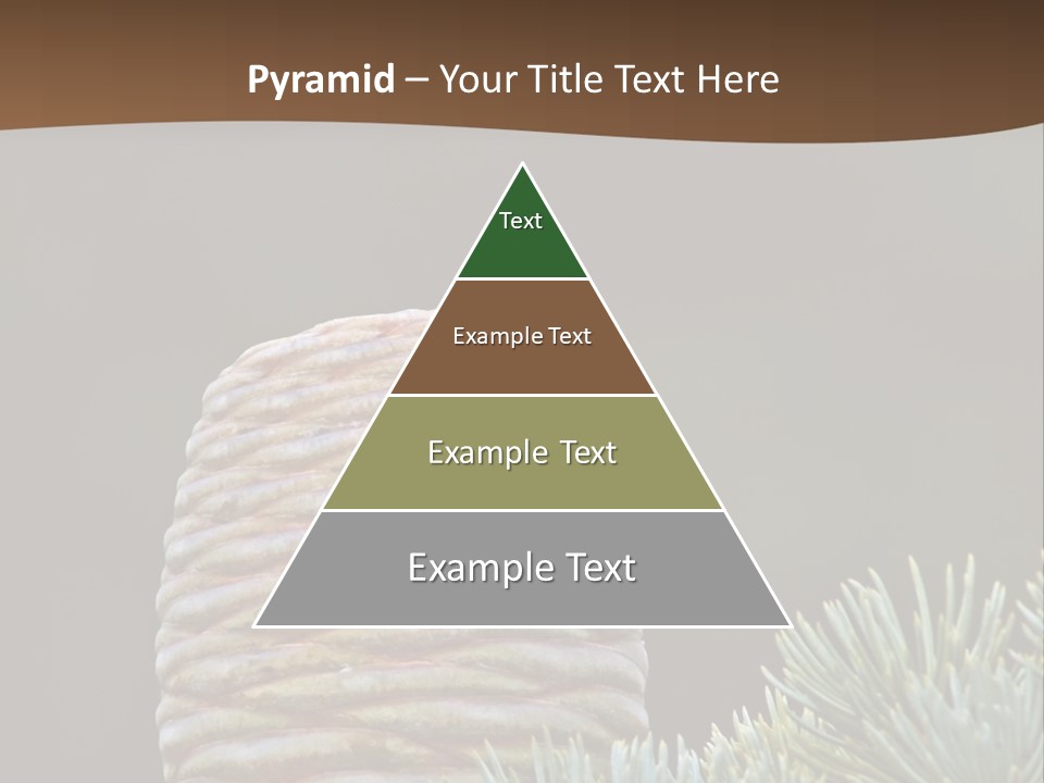 Cedar Cone PowerPoint Template