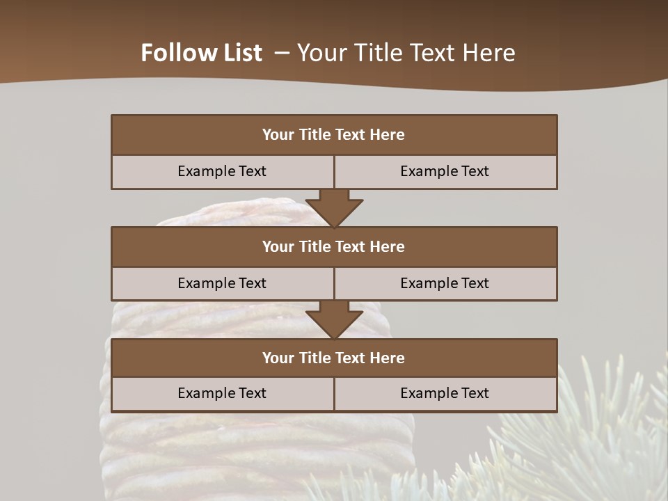 Cedar Cone PowerPoint Template