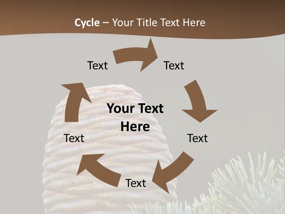 Cedar Cone PowerPoint Template