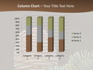 Cedar Cone PowerPoint Template