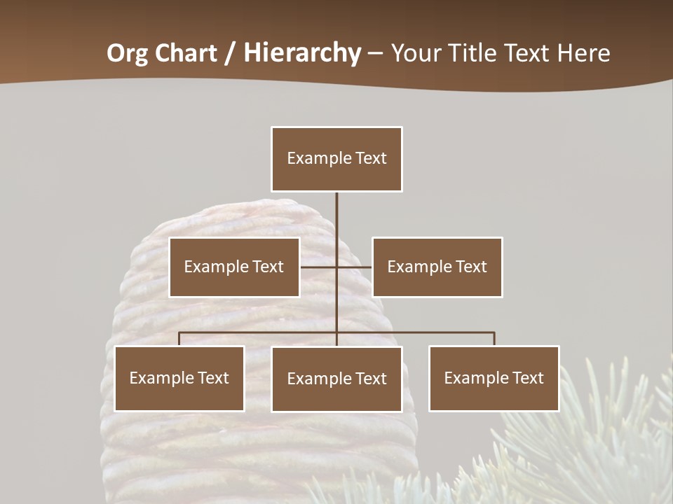 Cedar Cone PowerPoint Template