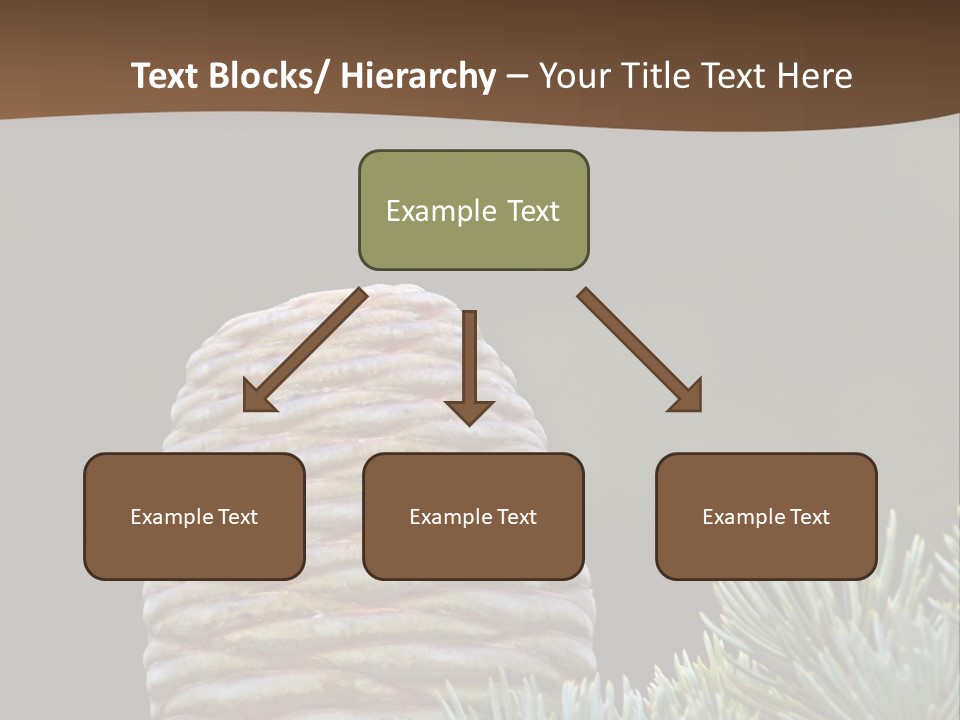Cedar Cone PowerPoint Template
