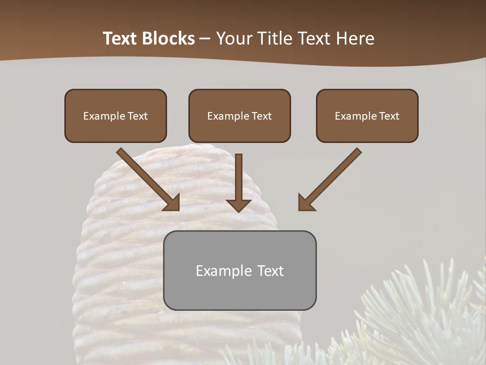 Cedar Cone PowerPoint Template