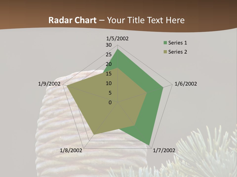 Cedar Cone PowerPoint Template