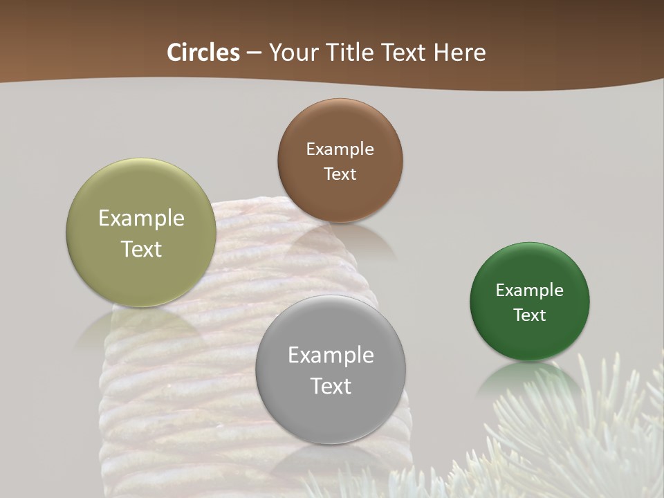 Cedar Cone PowerPoint Template