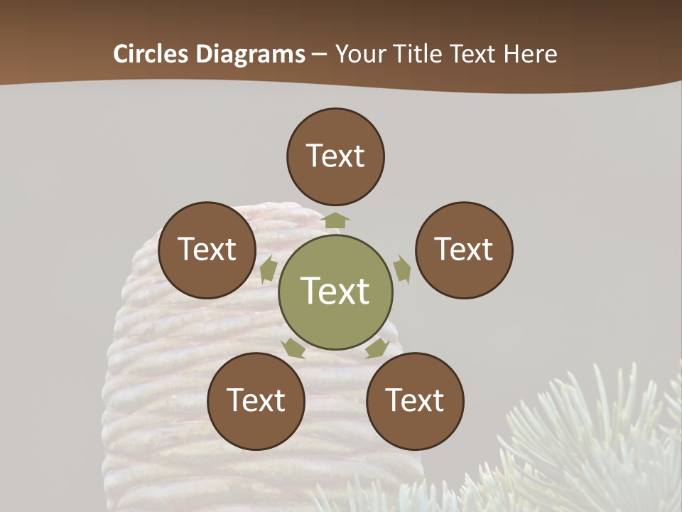 Cedar Cone PowerPoint Template