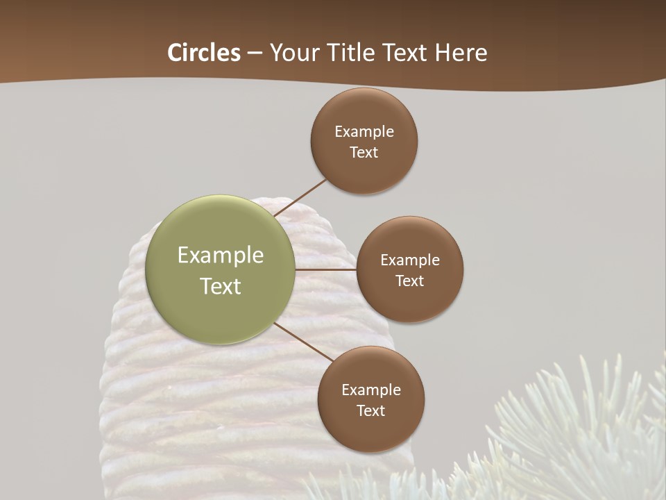 Cedar Cone PowerPoint Template
