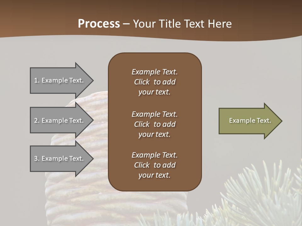 Cedar Cone PowerPoint Template