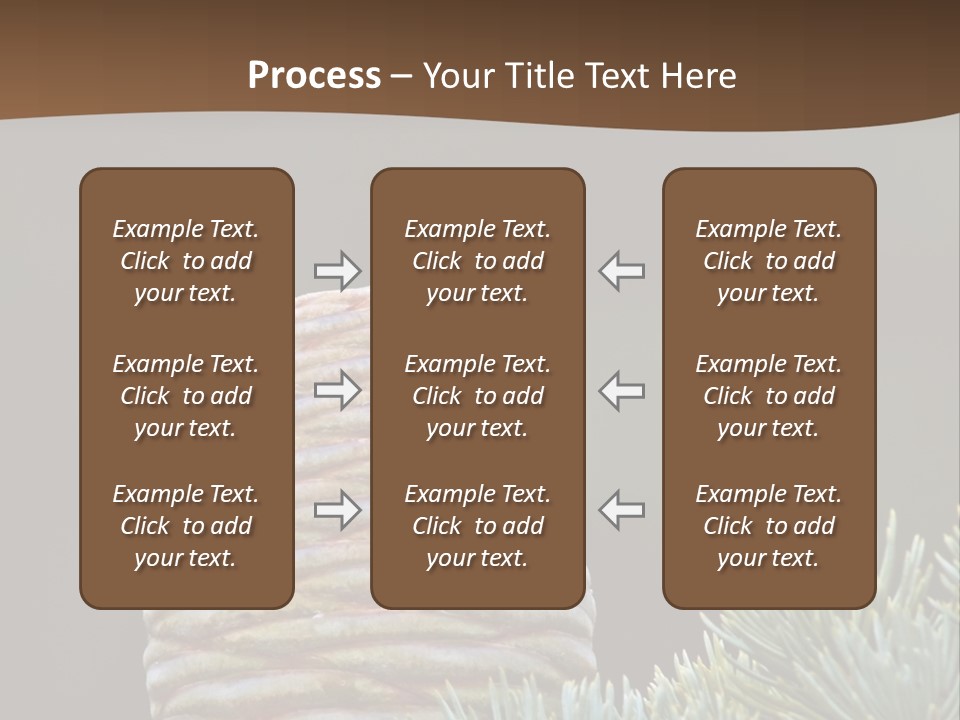 Cedar Cone PowerPoint Template