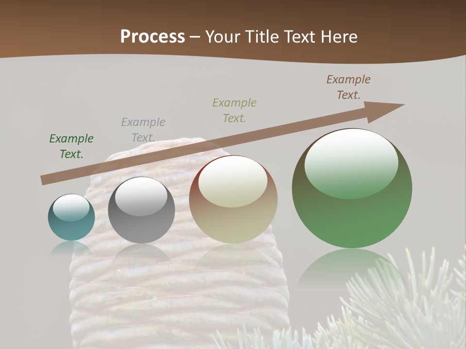 Cedar Cone PowerPoint Template
