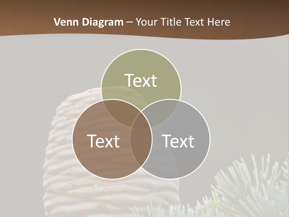 Cedar Cone PowerPoint Template